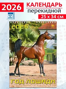 Купить Календарь 2026г 250*345 «Год лошади» настенный, на спирали — Фото №1