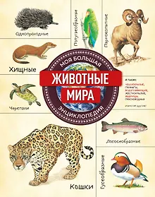 Купить Животные мира. Моя большая энциклопедия — Фото №1