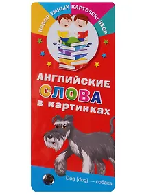 Купить Английские слова в картинках — Фото №1
