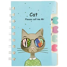 Купить Записная книжка «Cat», линейка, 72 листа, А6 — Фото №1