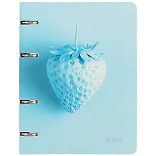 Купить Тетрадь на кольцах «Berries» 120 листов в клетку, А5, сменный блок - Listoff — Фото №1