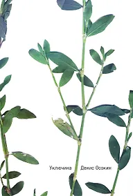 Купить Уключина — Фото №1