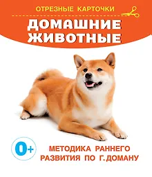 Купить Домашние животные. Отрезные карточки — Фото №1
