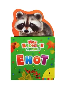 Купить Енот — Фото №1