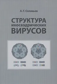 Купить Структура икосаэдрических вирусов — Фото №1