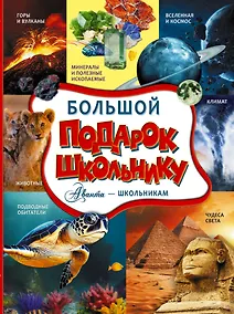Купить Большой подарок школьнику — Фото №1
