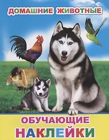 Купить Домашние животные. Обучающие наклейки — Фото №1