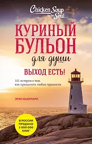 Купить Куриный бульон для души. Выход есть! 101 история о том, как преодолеть любые трудности (лучшая цена) — Фото №1