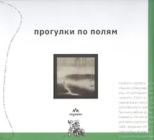 Купить Прогулки по полям — Фото №1