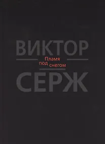 Купить Пламя под снегом — Фото №1