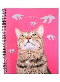 Купить Тетрадь в клетку Listoff, "Котики", 80 листов, в ассортименте — Фото №1