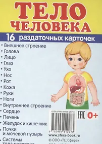 Купить Демонстрационные картинки СУПЕР Тело человека.16 раздаточных карточек с текстом (63х87 мм) — Фото №1