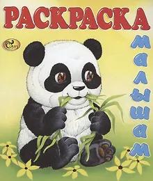 Купить Панда — Фото №1