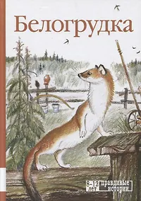 Купить Белогрудка — Фото №1