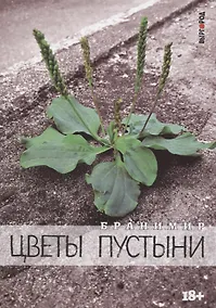 Купить Цветы пустыни — Фото №1