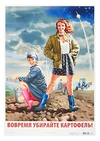Купить Постер Советский пин ап "Убирайте картофель!" — Фото №1