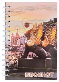 Купить Записная книжка "Санкт-Петербург. Банковский мост, ночь", А6, 120 листов — Фото №1