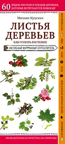 Купить Листья деревьев. Как узнать растение. Наглядный карманный определитель — Фото №1