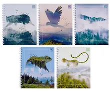 Купить Тетрадь в клетку Listoff, "Тайны дикой природы", 96 листов, в ассортименте — Фото №1