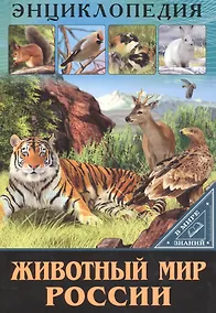 Купить Животный мир россии — Фото №1