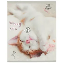 Купить Тетрадь в клетку Unnika, "Пушистый хулиган", 48 листов, в ассортименте — Фото №1