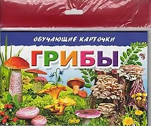 Купить Грибы/европодвес — Фото №1