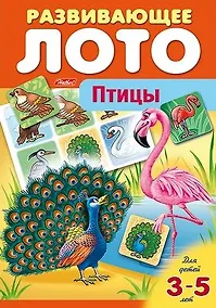 Купить Птицы. Развивающее лото — Фото №1