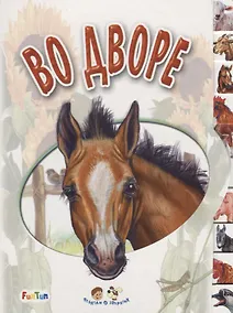 Купить Во дворе — Фото №1