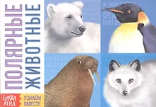 Купить Обучающая книга «Полярные животные» — Фото №1