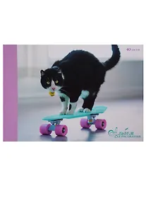 Купить Альбом для рисования Unnika, "Пушистый скейтер", А4, 40 листов, на склейке — Фото №1