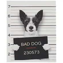 Купить Тетрадь в клетку Listoff, "Пушистые хулиганы", 48 листов, в ассортименте — Фото №1