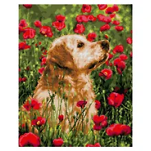 Купить Алмазная мозаика 40х50 см (полное заполнение) "Лабрадор в цветах" — Фото №1