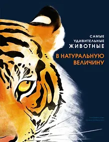 Купить Самые удивительные животные в натуральную величину — Фото №1