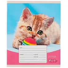 Купить Тетрадь в клетку Listoff, "Игривые котята", 12 листов, в ассортименте — Фото №1