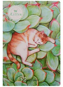 Купить Тетрадь в клетку Languo, Sleeping cat, 44 листа, в ассортименте — Фото №1