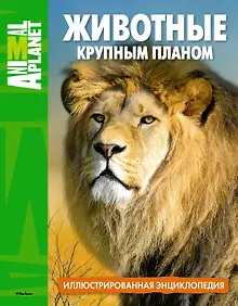 Купить Животные крупным планом. Иллюстрированная энциклопедия — Фото №1