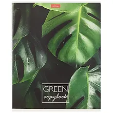 Купить Тетрадь в клетку Hatber, MOREgreen, 96 листов, в ассортименте — Фото №1