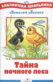 Купить Тайна ночного леса. Рассказы — Фото №1