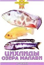 Купить Цихлиды озера Малави — Фото №1