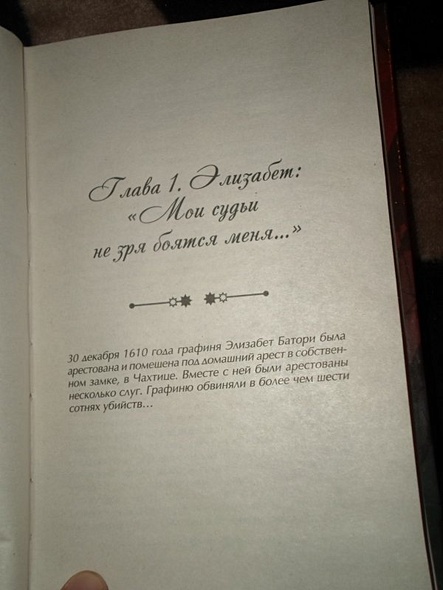 Графиня Дракула. Невероятная история Элизабет Батори - фото 3