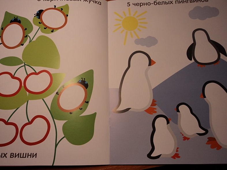 Разноцветный счет - фото 6