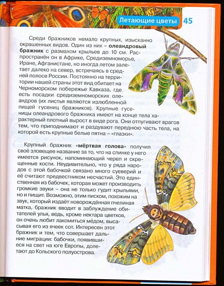 Насекомые / Науч.-поп. изд. - фото 13