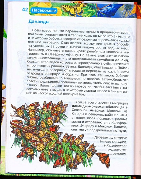 Насекомые / Науч.-поп. изд. - фото 10