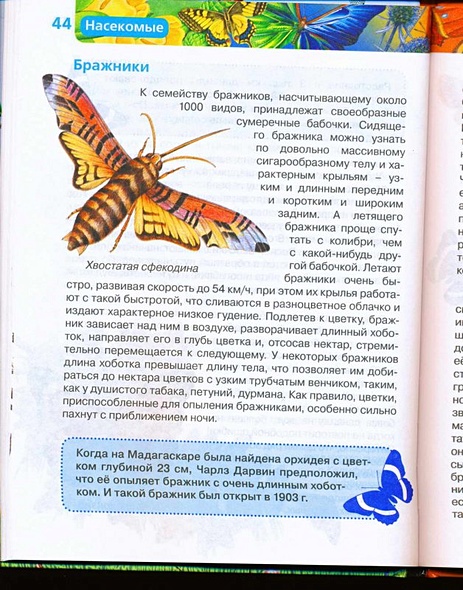 Насекомые / Науч.-поп. изд. - фото 12