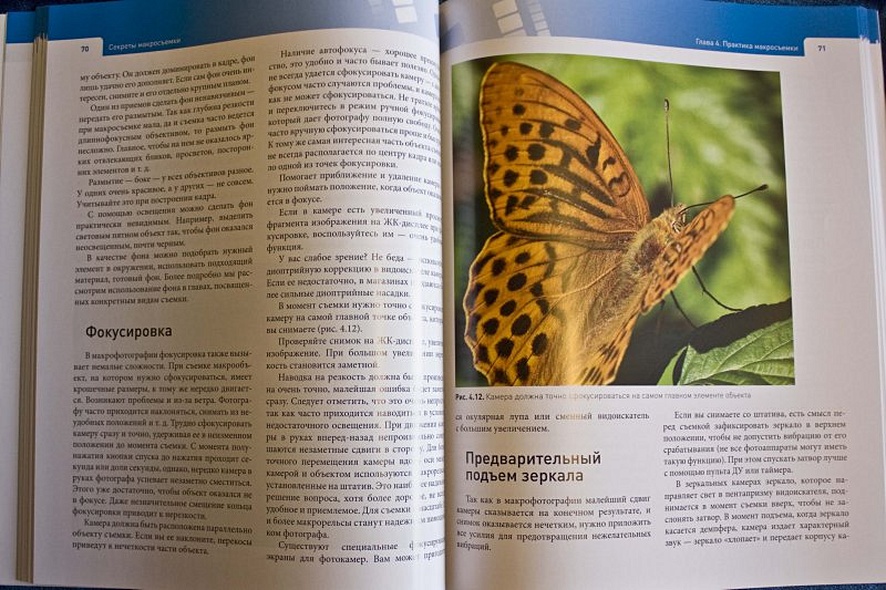 Секреты макросъемки - фото 7