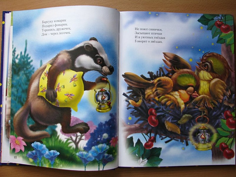 Л.С. СКАЗКИ НА НОЧЬ МАЛЫШАМ 96с. - фото 14