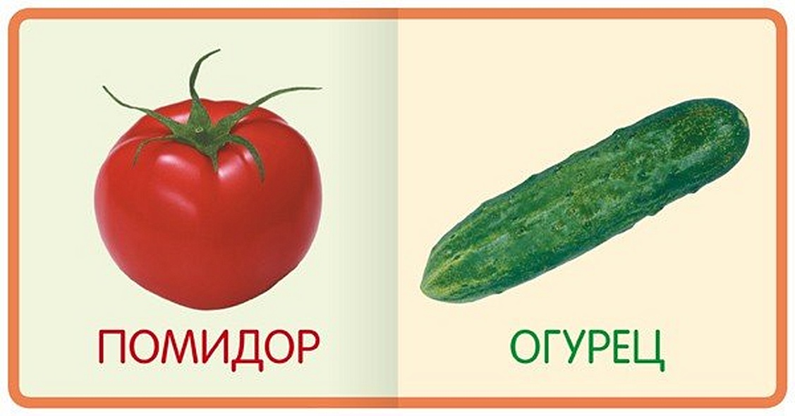 Овощи - фото 2