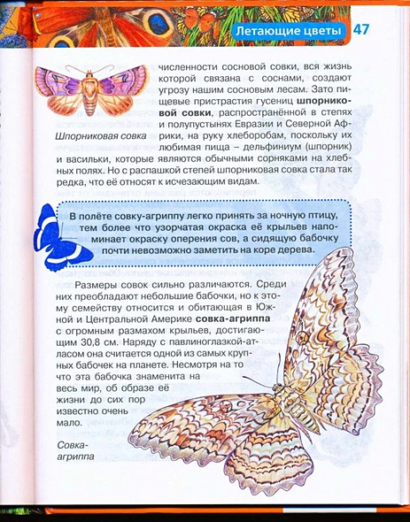 Насекомые / Науч.-поп. изд. - фото 14