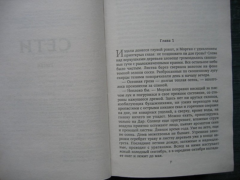 Сети. Храм сердца - фото 5