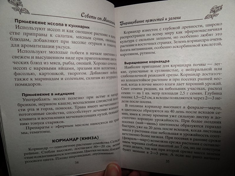 Пряные травы - фото 3